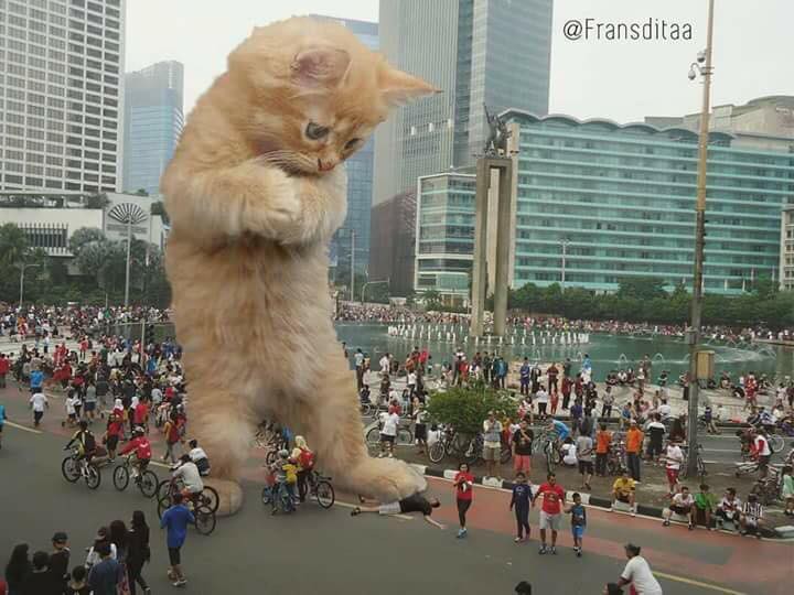 Th&ocirc;i chết, lỡ ch&acirc;n rồi, giờ sao...
