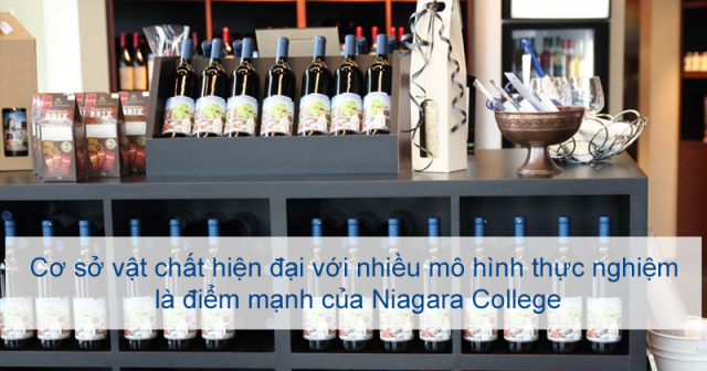 Co-so-vat-chat-hien-dai-cua-Niagara-College-640x336