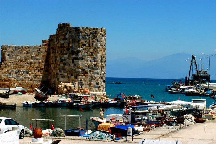 ssdh-adana