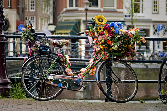 ssdh-amsterdam2