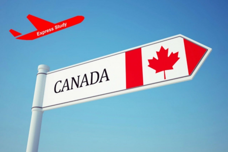 ssdh-canada