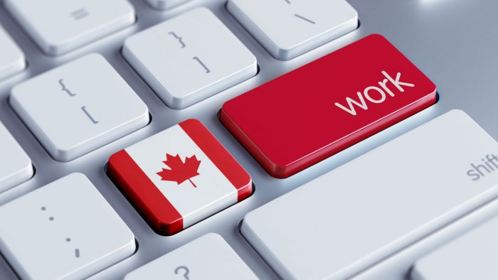 ssdh-canada-sinh-vien1-work