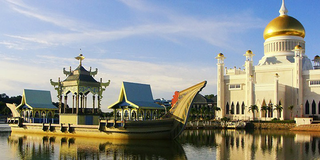 hoc-bong-brunei