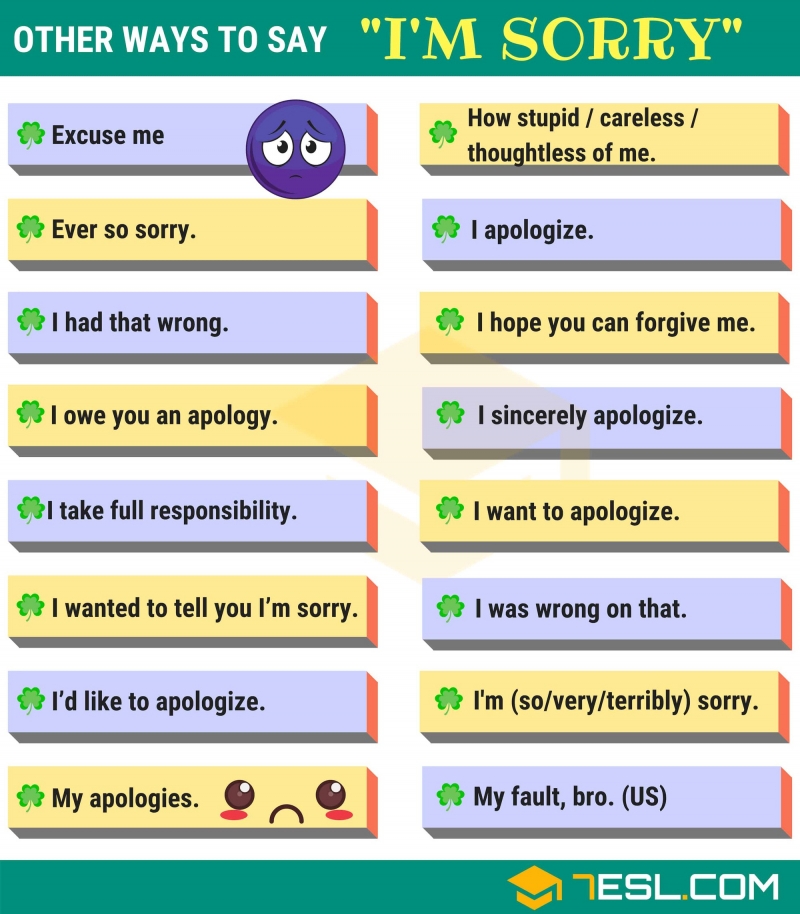 im-sorry-1-1546778733331758947333