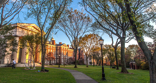 ivy-league