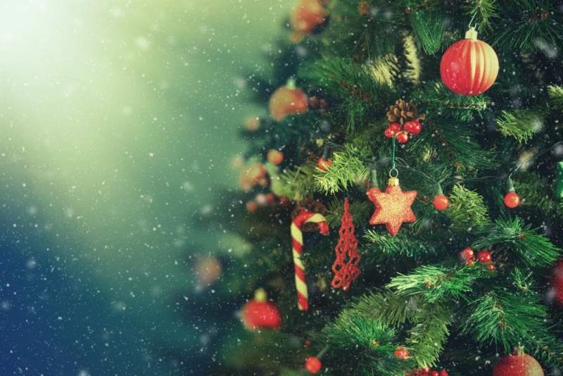 ssdh-giang-sinh-merry-christmas