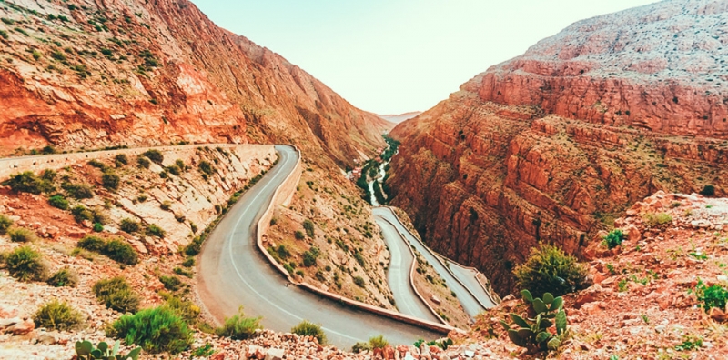 ssdh-morocco