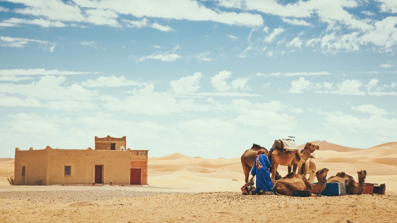 ssdh-morocco1
