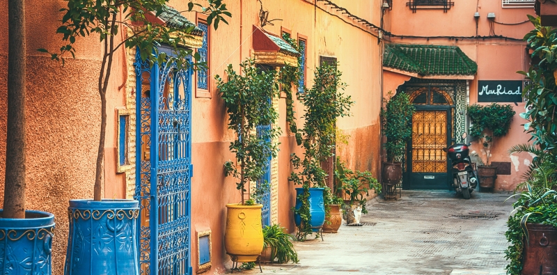 ssdh-morocco4