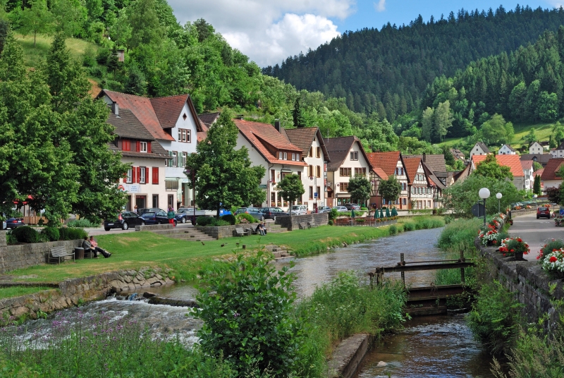 ssdh-schiltach