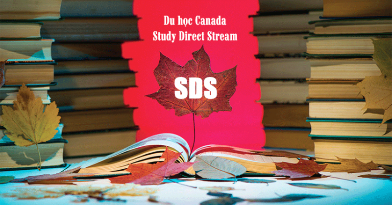 ssdh-sds-du-hoc-canada
