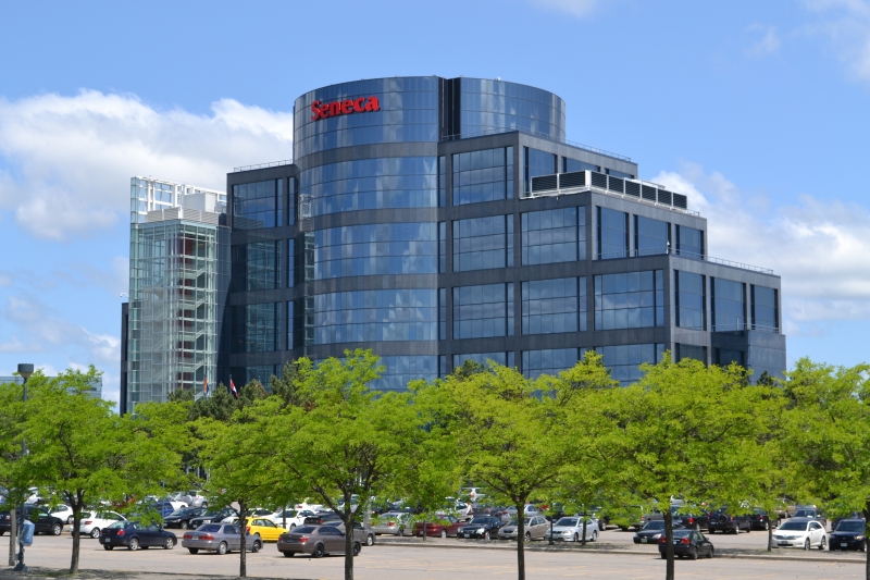 ssdh-seneca-college