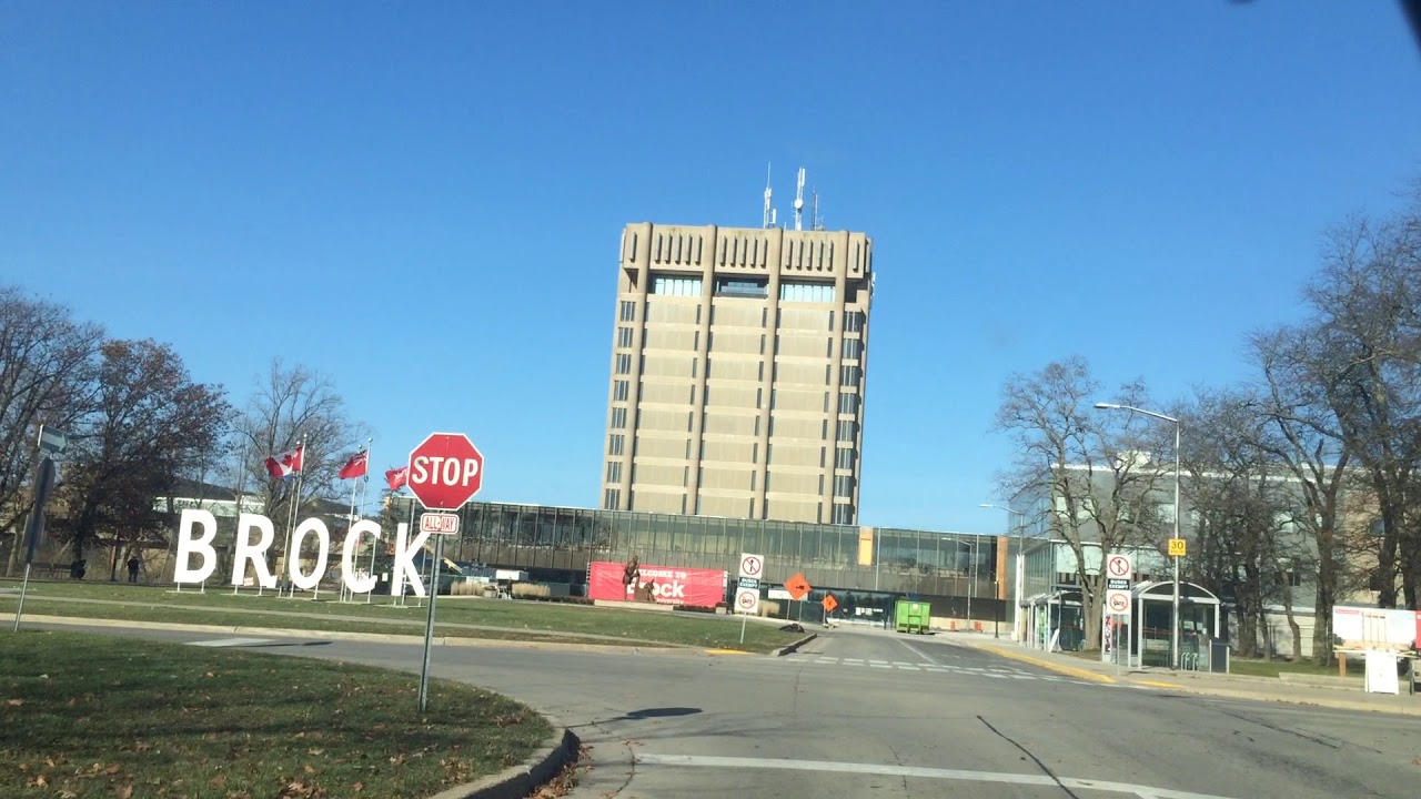 dai-hoc-brock