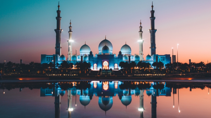 ssdh-abu-dhabi