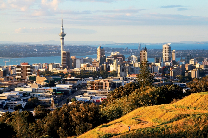 ssdh-auckland