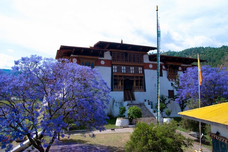 ssdh-bhutan