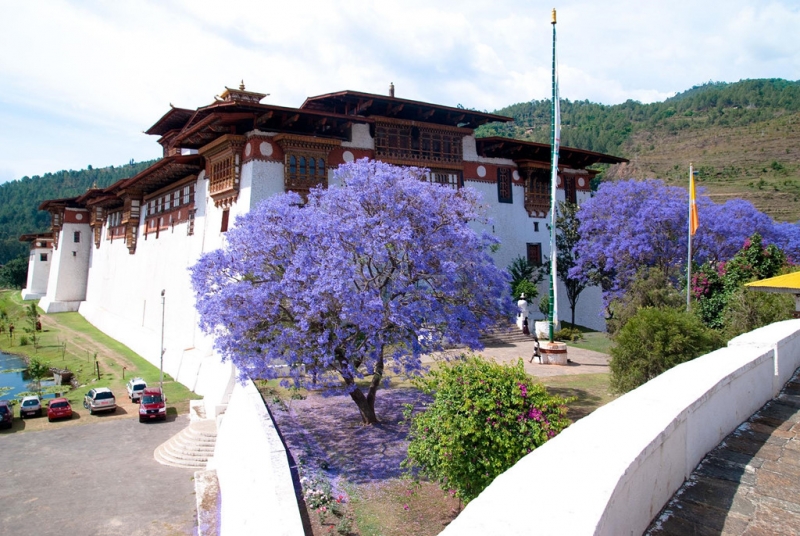 ssdh-bhutan1