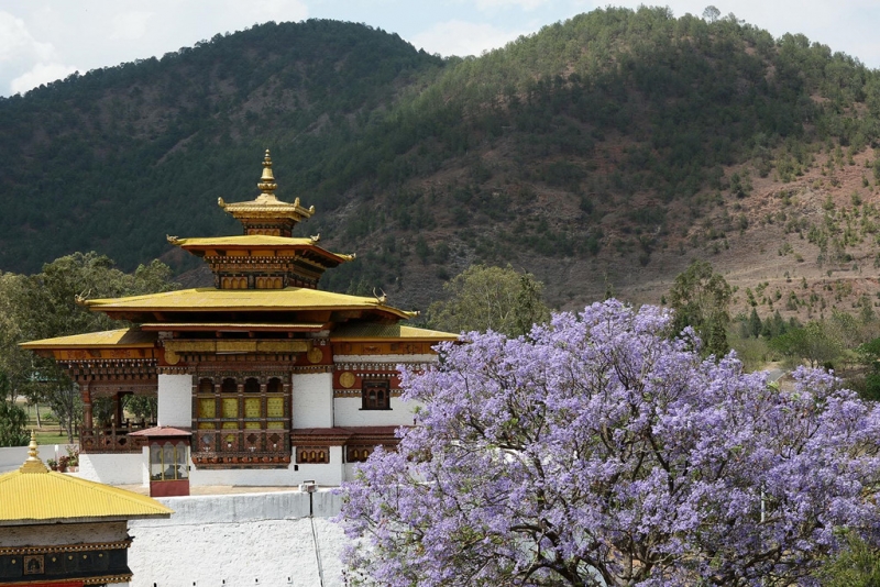 ssdh-bhutan3