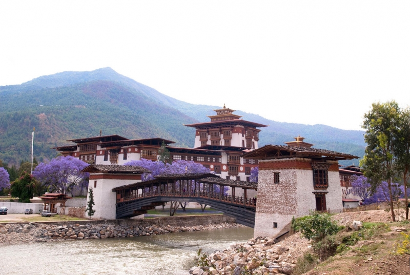 ssdh-bhutan4