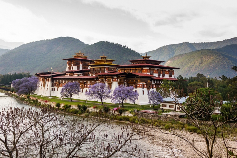 ssdh-bhutan5