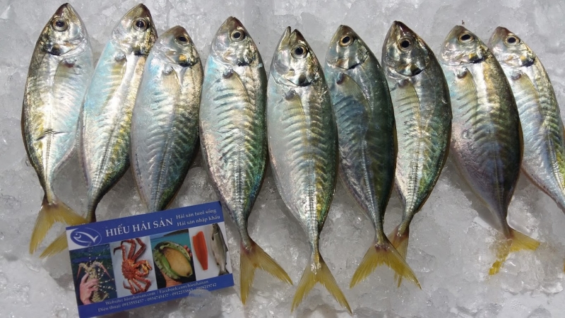 ssdh-ca-kho-tieu1