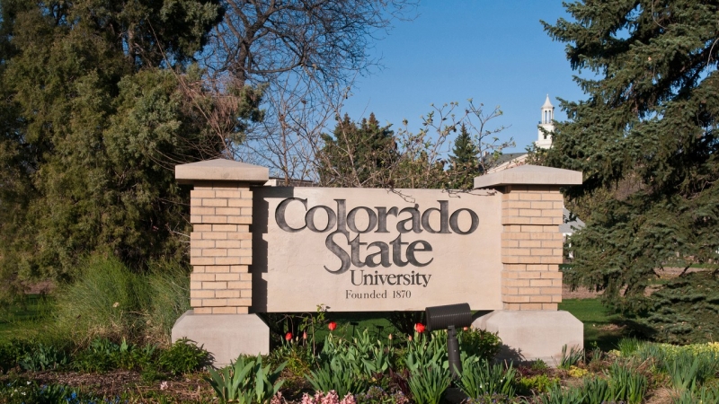 ssdh-colorado-state-university1