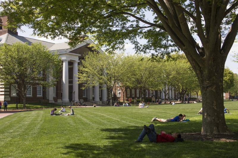 UD Spring