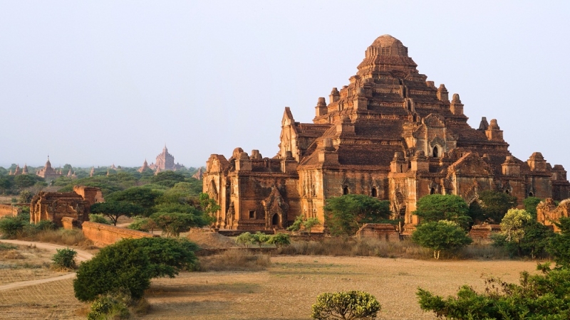 ssdh-dhammayangyi