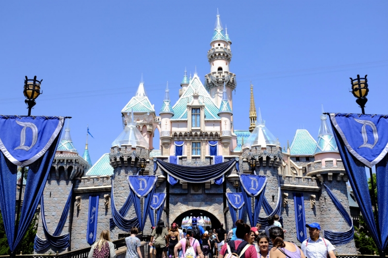 ssdh-disneyland -florida