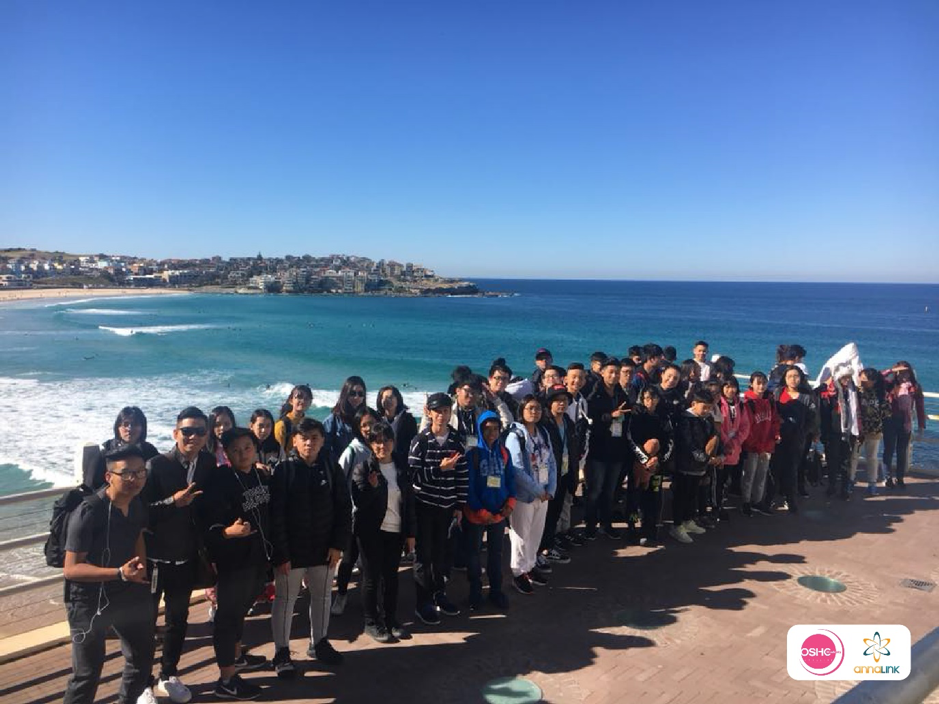 ssdh-du-hoc-he6.jpg