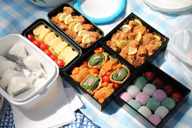 ssdh-hanami-bento