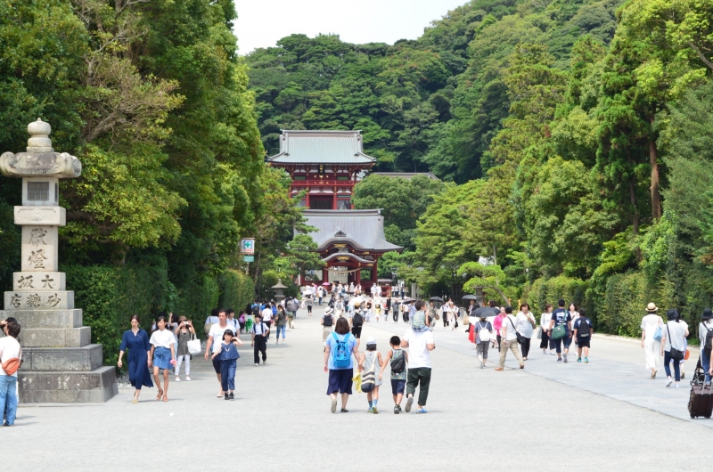 ssdh-kamakura-sinh-vien-nhat-ban