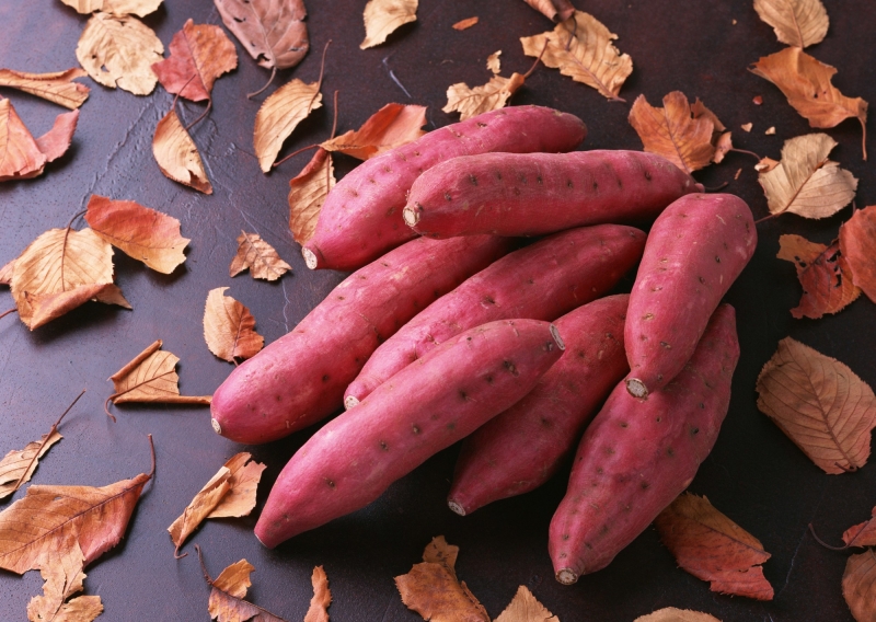 ssdh-khoai-lang-chien1
