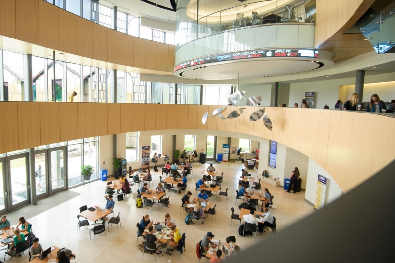 ssdh-louisiana-state-university-sinh-vien1