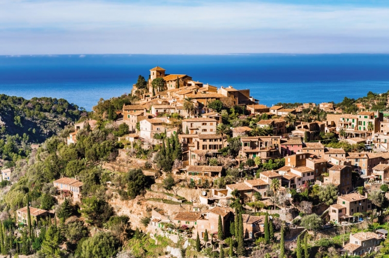 ssdh-mallorca