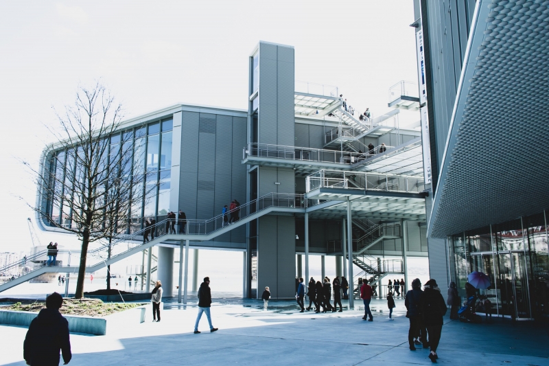 ssdh-new-york-university