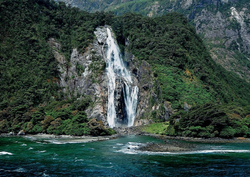 ssdh-queenstown