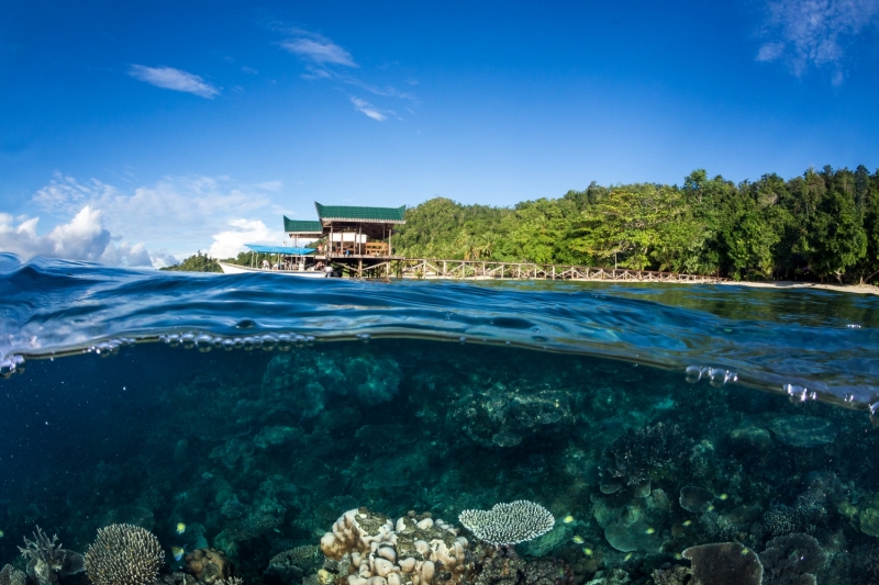 ssdh-raja-ampat