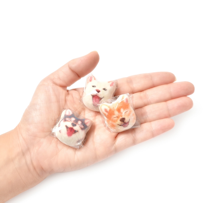 ssdh-shiba-inu-candy