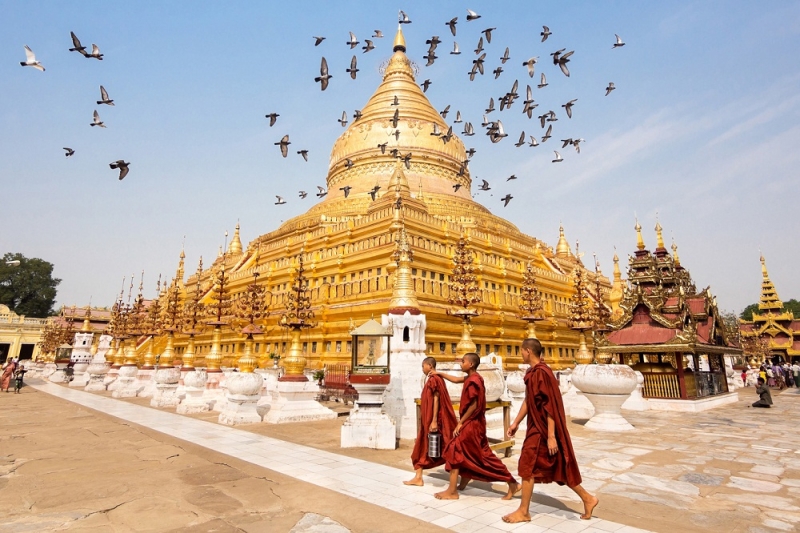 ssdh-shwezigon