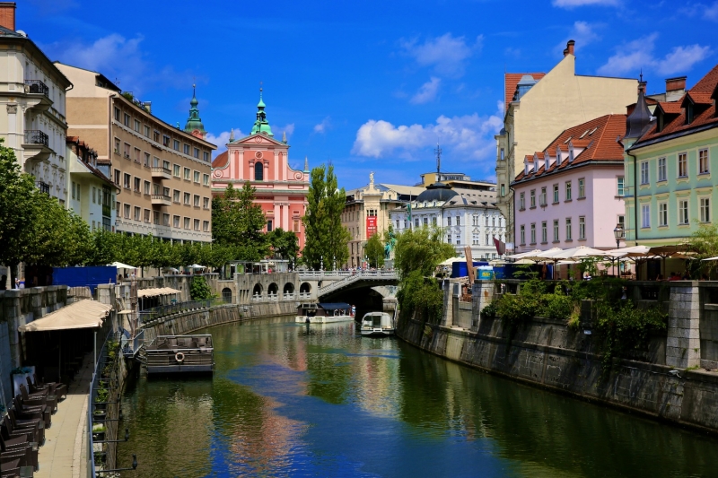 ssdh-slovenia