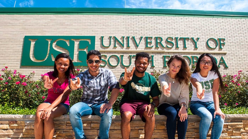 ssdh-south-florida-university-sinh-vien