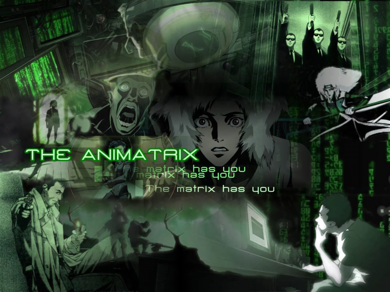 ssdh-the-animatrix