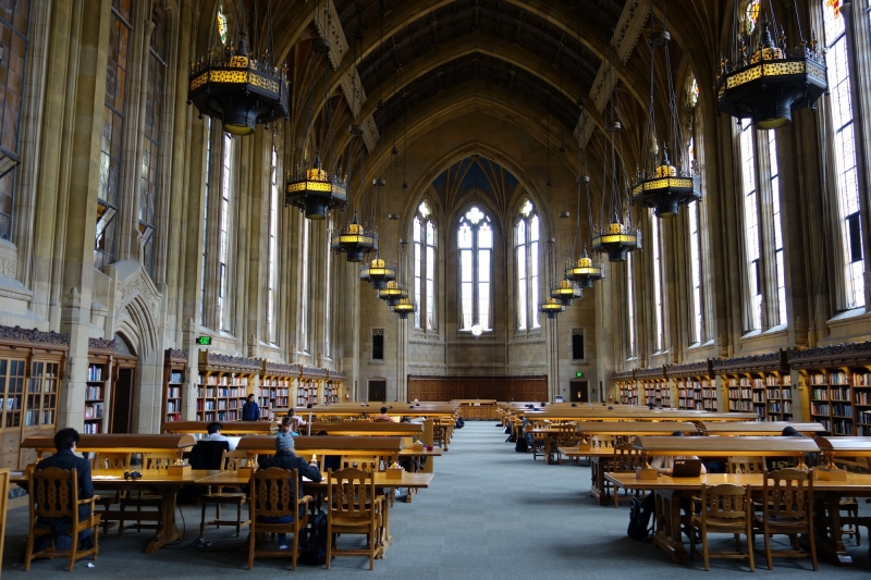 ssdh-university-of-chicago