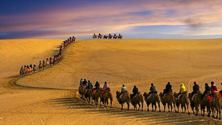 con-duong-to-lua-720x405