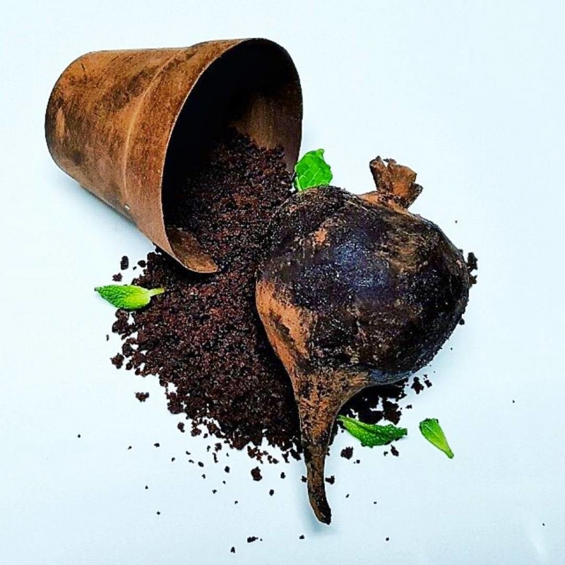 Một món bánh đánh lừa thị giác khác của bếp trưởng Ben Churchill, với mọi thứ đều ăn được, kể cả chiếc chậu "kim loại".