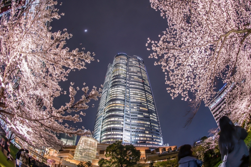 ssdh-mori-garden-roppongi-hills