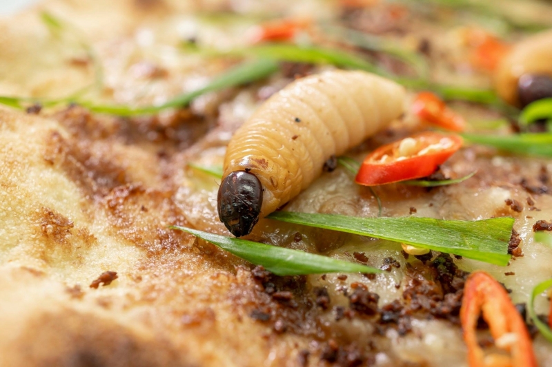 ssdh-pizza-duong-dua