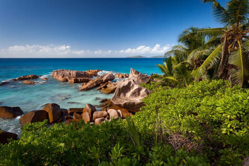 ssdh-seychelles
