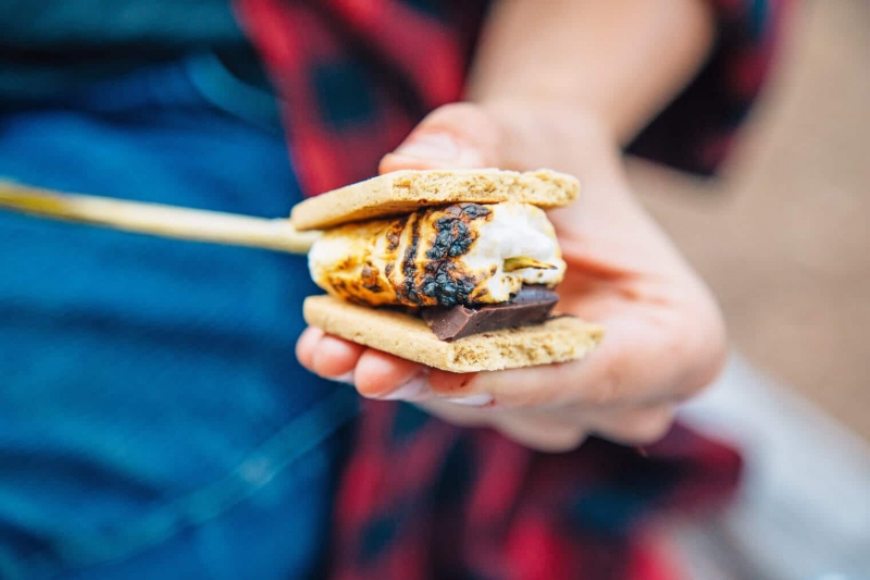 ssdh-s'mores